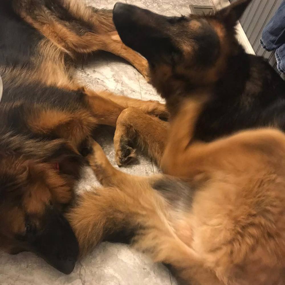 Meet your Posher, Cari